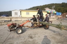 충청남도 서천군 서면 월호리 월하성마을 민속지 - 국립민속박물관 민속현장조사 충청남도 서천군 서면 월호리 월하성마을 민속지