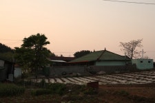 충청남도 서천군 서면 월호리 월하성마을 민속지 - 국립민속박물관 민속현장조사 충청남도 서천군 서면 월호리 월하성마을 민속지