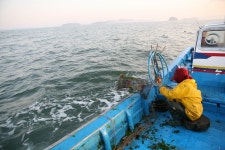 충청남도 서천군 서면 월호리 월하성마을 민속지 - 국립민속박물관 민속현장조사 충청남도 서천군 서면 월호리 월하성마을 민속지