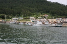 충청남도 서천군 서면 월호리 월하성마을 민속지 - 국립민속박물관 민속현장조사 충청남도 서천군 서면 월호리 월하성마을 민속지