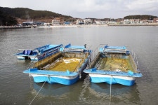 충청남도 서천군 서면 월호리 월하성마을 민속지 - 국립민속박물관 민속현장조사 충청남도 서천군 서면 월호리 월하성마을 민속지