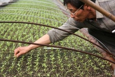 전라북도 무주군 적상면 북창리 내창마을 민속지 - 국립민속박물관 민속현장조사 전라북도 무주군 적상면 북창리 내창마을 민속지