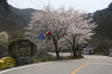 전라북도 무주군 적상면 북창리 내창마을 민속지 - 국립민속박물관 민속현장조사 전라북도 무주군 적상면 북창리 내창마을 민속지