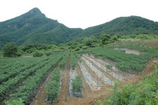 전라북도 무주군 적상면 북창리 내창마을 민속지 - 국립민속박물관 민속현장조사 전라북도 무주군 적상면 북창리 내창마을 민속지