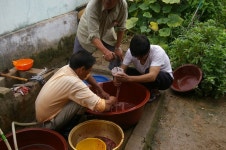 전라북도 김제시 진봉면 심포리 심포마을 민속지 - 국립민속박물관 민속현장조사 전라북도 김제시 진봉면 심포리 심포마을 민속지