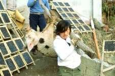 위도의 민속 Ⅰ 대리원당제편 - 국립민속박물관 민속현장조사 위도의 민속 Ⅰ 대리원당제편