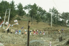 위도의 민속 Ⅰ 대리원당제편 - 국립민속박물관 민속현장조사 위도의 민속 Ⅰ 대리원당제편