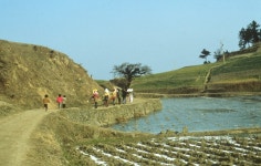 위도의 민속 Ⅰ 대리원당제편 - 국립민속박물관 민속현장조사 위도의 민속 Ⅰ 대리원당제편