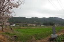 전라남도 장흥군 용산면 상금리 상금마을 민속지 - 국립민속박물관 민속현장조사 전라남도 장흥군 용산면 상금리 상금마을 민속지