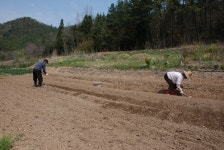 전라남도 장흥군 용산면 상금리 상금마을 민속지 - 국립민속박물관 민속현장조사 전라남도 장흥군 용산면 상금리 상금마을 민속지
