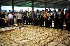 전라남도 목포시 유달동·만호동 민속지 - 국립민속박물관 민속현장조사 전라남도 목포시 유달동·만호동 민속지