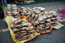 전라남도 목포시 유달동·만호동 민속지 - 국립민속박물관 민속현장조사 전라남도 목포시 유달동·만호동 민속지