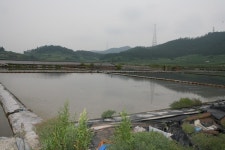 전라남도 목포시 유달동·만호동 민속지 - 국립민속박물관 민속현장조사 전라남도 목포시 유달동·만호동 민속지