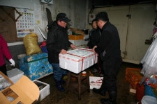 전라남도 목포시 유달동·만호동 민속지 - 국립민속박물관 민속현장조사 전라남도 목포시 유달동·만호동 민속지