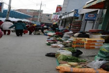 경상북도 영덕군 축산면 경정1리 뱃불마을 민속지 - 국립민속박물관 민속현장조사 경상북도 영덕군 축산면 경정1리 뱃불마을 민속지