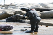 경상북도 영덕군 축산면 경정1리 뱃불마을 민속지 - 국립민속박물관 민속현장조사 경상북도 영덕군 축산면 경정1리 뱃불마을 민속지