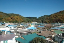 경상북도 영덕군 축산면 경정1리 뱃불마을 민속지 - 국립민속박물관 민속현장조사 경상북도 영덕군 축산면 경정1리 뱃불마을 민속지