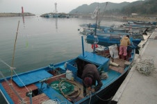 경상북도 영덕군 축산면 경정1리 뱃불마을 민속지 - 국립민속박물관 민속현장조사 경상북도 영덕군 축산면 경정1리 뱃불마을 민속지