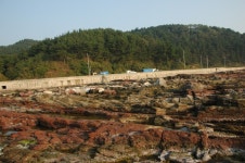 경상북도 영덕군 축산면 경정1리 뱃불마을 민속지 - 국립민속박물관 민속현장조사 경상북도 영덕군 축산면 경정1리 뱃불마을 민속지