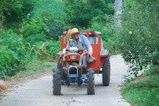 경상북도 군위군 부계면 대율리 한밤마을 민속지 - 국립민속박물관 민속현장조사 경상북도 군위군 부계면 대율리 한밤마을 민속지