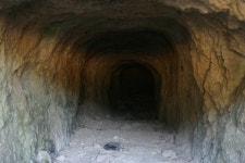 울산광역시 남구 달동 민속지 - 국립민속박물관 민속현장조사 울산광역시 남구 달동 민속지