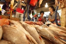 울산광역시 남구 달동 민속지 - 국립민속박물관 민속현장조사 울산광역시 남구 달동 민속지