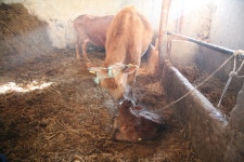 경상남도 합천군 덕곡면 율지리 민속지 - 국립민속박물관 민속현장조사 경상남도 합천군 덕곡면 율지리 민속지