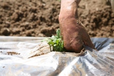 경상남도 합천군 덕곡면 율지리 민속지 - 국립민속박물관 민속현장조사 경상남도 합천군 덕곡면 율지리 민속지