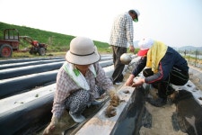 경상남도 합천군 덕곡면 율지리 민속지 - 국립민속박물관 민속현장조사 경상남도 합천군 덕곡면 율지리 민속지