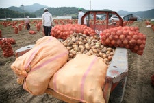 경상남도 합천군 덕곡면 율지리 민속지 - 국립민속박물관 민속현장조사 경상남도 합천군 덕곡면 율지리 민속지