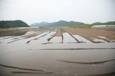 경상남도 합천군 덕곡면 율지리 민속지 - 국립민속박물관 민속현장조사 경상남도 합천군 덕곡면 율지리 민속지