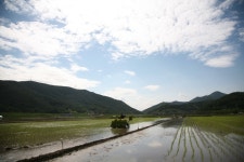 경상남도 합천군 덕곡면 율지리 민속지 - 국립민속박물관 민속현장조사 경상남도 합천군 덕곡면 율지리 민속지