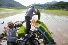 경상남도 합천군 덕곡면 율지리 민속지 - 국립민속박물관 민속현장조사 경상남도 합천군 덕곡면 율지리 민속지
