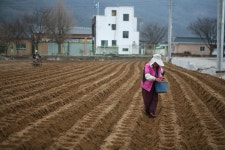 경상남도 합천군 덕곡면 율지리 민속지 - 국립민속박물관 민속현장조사 경상남도 합천군 덕곡면 율지리 민속지