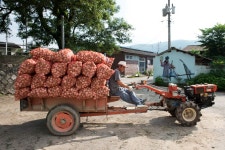 경상남도 합천군 덕곡면 율지리 민속지 - 국립민속박물관 민속현장조사 경상남도 합천군 덕곡면 율지리 민속지