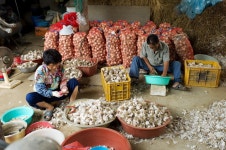 경상남도 합천군 덕곡면 율지리 민속지 - 국립민속박물관 민속현장조사 경상남도 합천군 덕곡면 율지리 민속지
