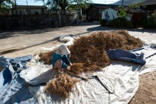 경상남도 합천군 덕곡면 율지리 민속지 - 국립민속박물관 민속현장조사 경상남도 합천군 덕곡면 율지리 민속지