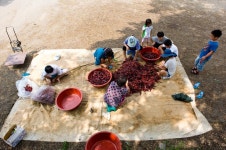 경상남도 합천군 덕곡면 율지리 민속지 - 국립민속박물관 민속현장조사 경상남도 합천군 덕곡면 율지리 민속지