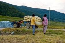 경상남도 합천군 덕곡면 율지리 민속지 - 국립민속박물관 민속현장조사 경상남도 합천군 덕곡면 율지리 민속지