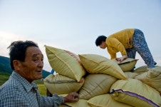 경상남도 합천군 덕곡면 율지리 민속지 - 국립민속박물관 민속현장조사 경상남도 합천군 덕곡면 율지리 민속지