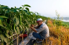 경상남도 합천군 덕곡면 율지리 민속지 - 국립민속박물관 민속현장조사 경상남도 합천군 덕곡면 율지리 민속지
