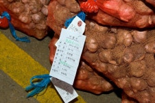 경상남도 합천군 덕곡면 율지리 민속지 - 국립민속박물관 민속현장조사 경상남도 합천군 덕곡면 율지리 민속지