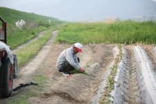 경상남도 합천군 덕곡면 율지리 민속지 - 국립민속박물관 민속현장조사 경상남도 합천군 덕곡면 율지리 민속지