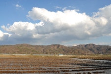 강원도 철원군 동송읍 이길리 민북마을 민속지 - 국립민속박물관 민속현장조사 강원도 철원군 동송읍 이길리 민북마을 민속지