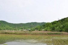 강원도 철원군 동송읍 이길리 민북마을 민속지 - 국립민속박물관 민속현장조사 강원도 철원군 동송읍 이길리 민북마을 민속지