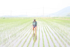 강원도 철원군 동송읍 이길리 민북마을 민속지 - 국립민속박물관 민속현장조사 강원도 철원군 동송읍 이길리 민북마을 민속지