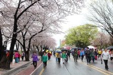 세종시 전동면 미곡리 민속지 - 국립민속박물관 민속현장조사 세종시 전동면 미곡리 민속지