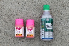 세종시 전동면 미곡리 민속지 - 국립민속박물관 민속현장조사 세종시 전동면 미곡리 민속지