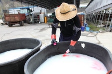 세종시 전동면 미곡리 민속지 - 국립민속박물관 민속현장조사 세종시 전동면 미곡리 민속지