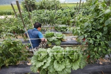 70년(1947 ~ 2017년) 만에 다시 기록한 강화 선두포 마을지 - 국립민속박물관 민속현장조사 70년(1947 ~ 2017년) 만에 다시 기록한 강화... 